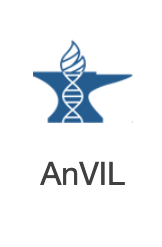 go to launch with AnVIL page