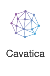 go to launch with Cavatica page